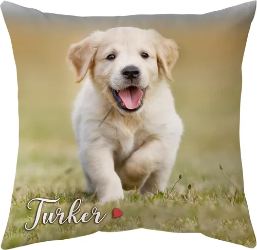 Hyturtle Almohada personalizada para mascotas con inserto de 12 x 12 pulgadas impreso de doble cara, almohada para perros con imagen, almohadas