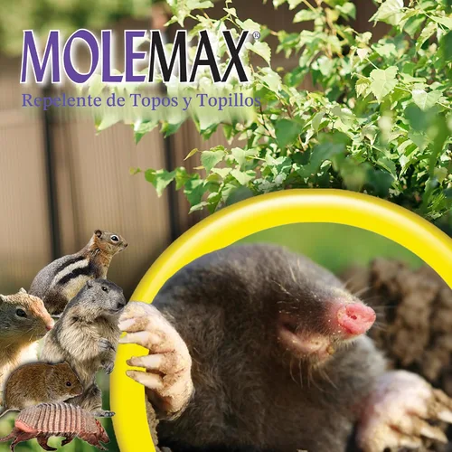 Miniatura 7 de Bonide 692150 Mole Max gránulos repelentes de topos, 10 libras