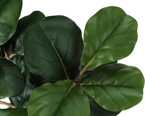 Miniatura 4 de Monarch Specialties I 9511 Planta artificial, 32 pulgadas de alto, árbol violín, interior, falso, falso, suelo, vegetación, maceta, tacto real