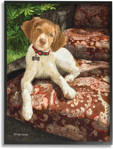 Stupell Industries Still Life Sueellen Ross - Silla de cachemira floral sentado con diseño de perro de campo, arte de pared enmarcado negro, 16 x 20