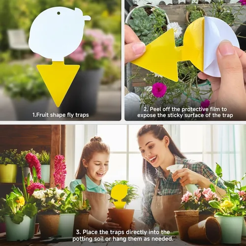 Miniatura 4 de Trampa para moscas de frutas y mosquitos de hongos, paquete de 40 trampas adhesivas amarillas para mosquitos para plantas de casa