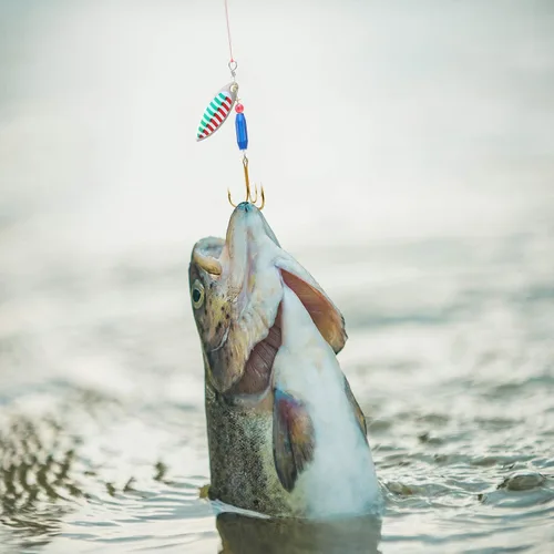 Miniatura 7 de Skylety 40 piezas de señuelo de pesca de metal duro colorido cebo giratorio con caja de aparejos cuchara de trucha señuelos de pesca para lubina