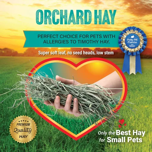 Miniatura 5 de Small Pet Select Orchard Grass Hay - Alimento para mascotas para conejos, cobayas, chinchillas y otros animales pequeños, heno natural premium