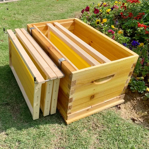 Miniatura 4 de Bee Hive - Soporte para marco de acero inoxidable, con pala y marco de abeja (1 juegos)