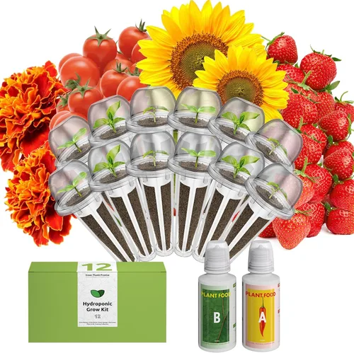 Miniatura 12 de inbloom Kit de vainas de semillas verdes para ensalada orgánica para AeroGarden, sistema de cultivo hidropónico Ahopegarden, alimento bajo