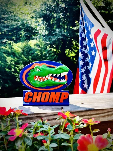 Miniatura 5 de Accesorio de mesa de escritorio de oficina de Florida Gators para decoración del hogar