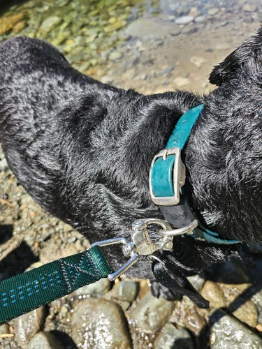 Miniatura 4 de Correa de perro resistente de 6 pies – Broche de liberación rápida, mango Dyneema, impermeable, 316 inoxidable, hecho a mano en Estados Unidos Negro