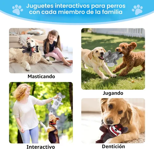 Miniatura 6 de Bzonsmart Paquete de 5 Juguetes Chirriantes para Perros. Juguetes de Masticación de Peluche Resistentes para Perros. Juguetes Interactivos