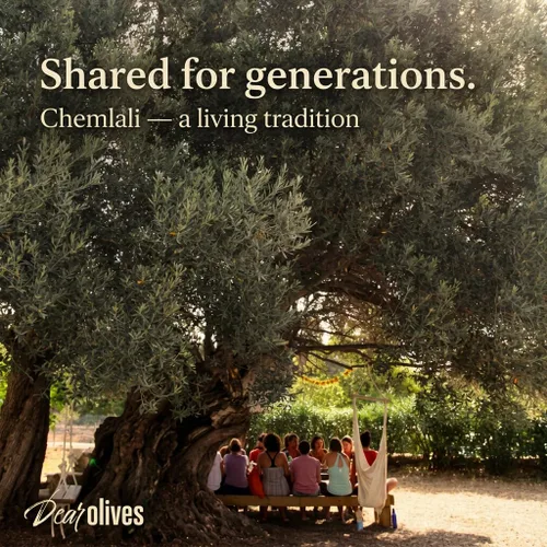 Miniatura 6 de Dear Olives™ Aceite de oliva virgen extra mediterráneo suave, cosecha temprana prensado en frío, sabor equilibrado y polifenoles, perfecto