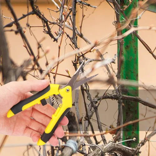 Miniatura 6 de Paquete de 20 tijeras de podar de jardín de 6.5 pulgadas, podadora manual con cuchillas de acero inoxidable, tijeras de jardinería de punta afilada