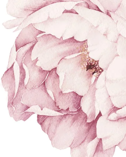 Miniatura 6 de Sticker de pared de flores peonias, de Simple Shapes Rosado(Vintage Pink)