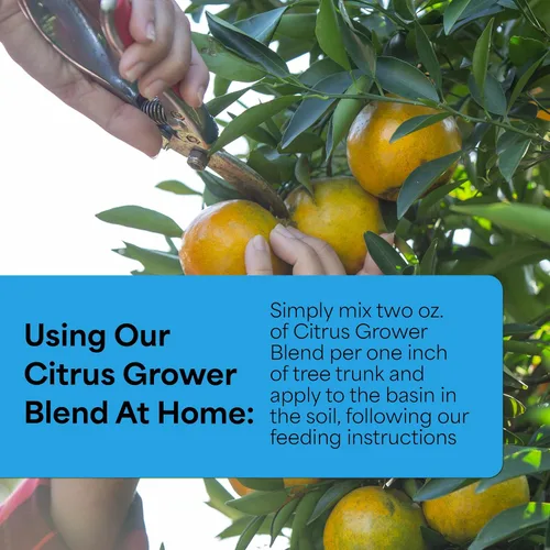 Miniatura 4 de Grow More Mezcla de cultivo de cítricos (1.7-0-0) – 20 onzas de fertilizante cítrico orgánico para árboles en maceta con micronutriente quelado