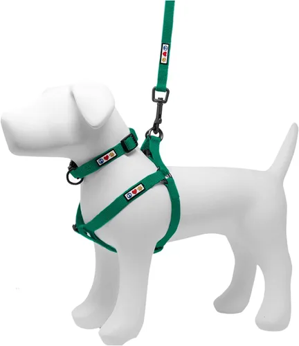 Pawtitas Paquete económico | Arnés para perro mediano + collar mediano + correa para perro mediana/grande de 6 pies, juego verde exuberante