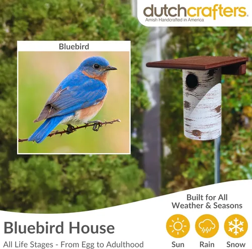 Miniatura 4 de DutchCrafters Gilbertson - Casa de pájaros azules con base extraíble, duradera y resistente a la intemperie, caja anidable para pájaros azules