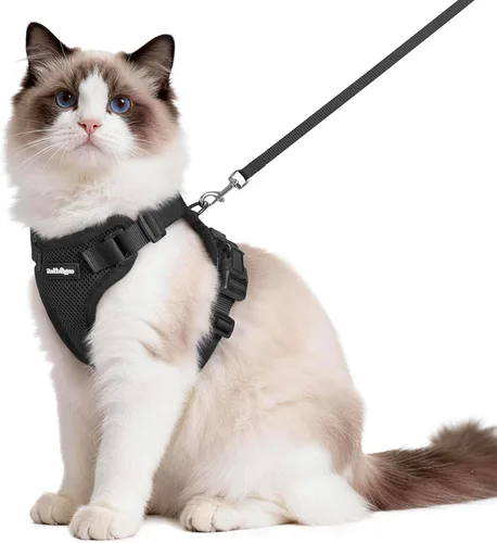 Miniatura 36 de rabbitgoo Juego de arnés y correa para gatos, arnés a prueba de escapes para paseos seguros al aire libre, chaleco suave transpirable ajustable