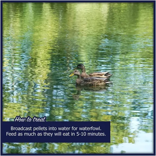 Miniatura 7 de Natural Waterscapes Alimento flotante para aves acuáticas (5 libras) para patos salvajes, patos de mascotas, gansos, cisnes