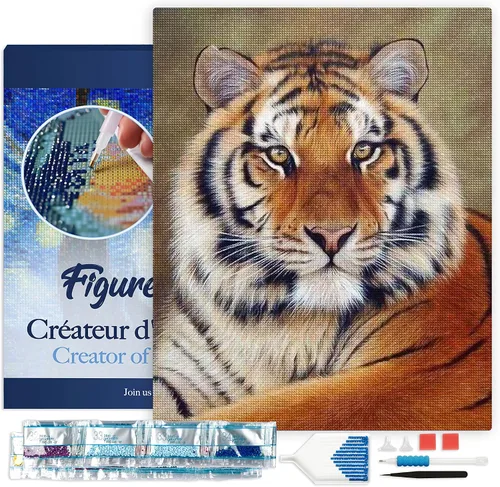 Figured'Art Kit de arte de pintura de diamantes para adultos de 16 x 20 pulgadas con marco, taladro cuadrado completo 5D, ojo de tigre completo,