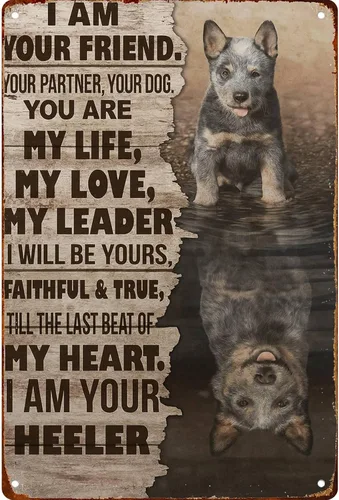 Cartel de metal retro con texto en inglés "I Am Your Companion Your Ally Your Existence Blue Heeler" para garaje, hombre, cueva, baño, dormitorio,