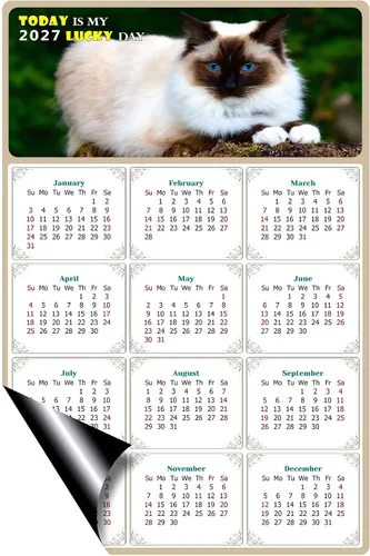 Miniatura 2 de Calendario magnético 2024 – Imanes del calendario – Today is my Lucky Day – Resistente a la decoloración, desgarros y agua – Temática de gato 02