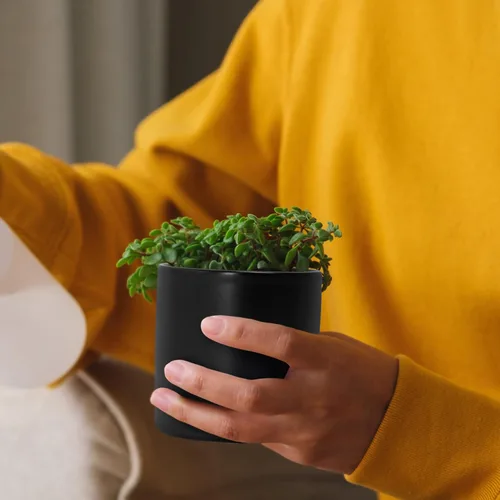 Miniatura 6 de D'vine Dev - Juego de 2 macetas de plantas de 3.5 pulgadas, maceta de cerámica para plantas con agujero de drenaje y platillo, negra, 94-V-A-2