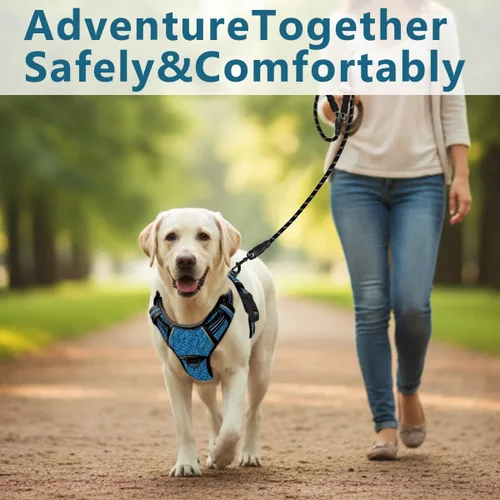 Miniatura 8 de BARKBAY Arnés para perro sin tirones con bolsillo para etiqueta de identificación, resistente, reflectante, fácil control para perros grandes
