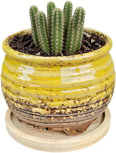 Miniatura 62 de Bonita maceta circular de cerámica para decoración del hogar y jardín, suculentas, cactus, maceta no incluida (azul, 3.19 pulgadas)