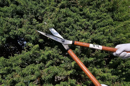 Miniatura 2 de KAKURI Tijeras japonesas para jardinería de 27 pulgadas, cortasetos profesionales para recortar arbustos y bordes, mango largo resistente
