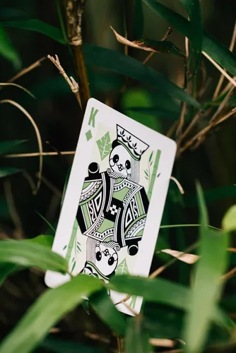 Miniatura 8 de Baraja de cartas Bicycle Panda, lindas cartas con animales, 1 mazo