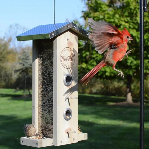 Miniatura 5 de Wild Wings WWGF1-DECO - Alimentador vertical galvanizado para pájaros de cedro