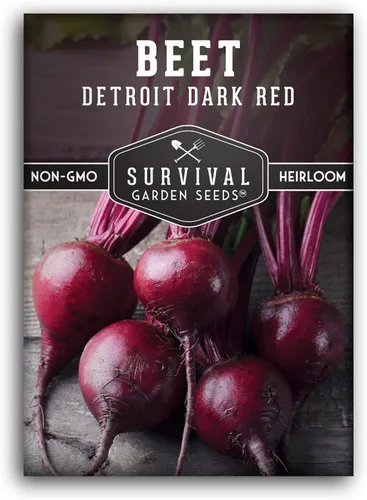Detroit - Semillas de remolacha roja oscura para plantar, remolacha roja clásica para cultivo de jardín al aire libre, remolacha tradicional de alto