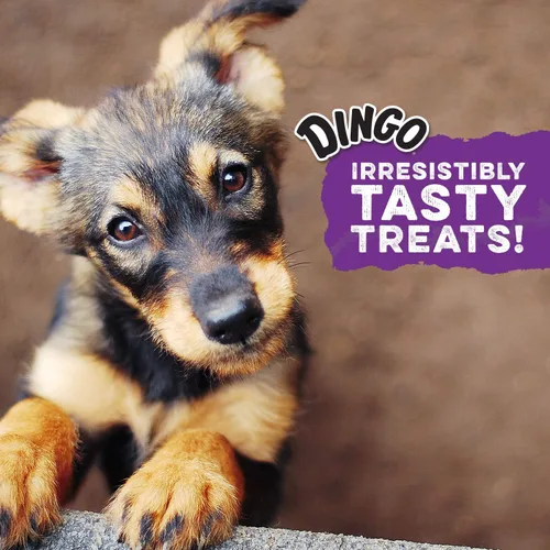 Miniatura 5 de Dingo Twist Sticks 50 Unidades, Masticables de Piel Cruda para Perros, Hechos con Pollo Real, 50 Unidades (Paquete de 1)