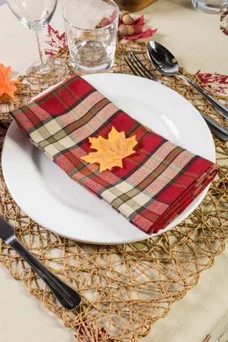 Miniatura 4 de Mantel/Camino de mesa/Servilleta de 100% algodón, lavable a máquina, para cena y día festivo, de DII