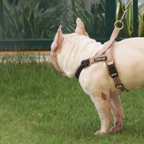 Miniatura 9 de Arnés para perro sin tirones con asa, clip trasero y delantero, ajustable, fácil de poner y quitar, reflectante, ligero y acolchado de malla, sin