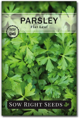 Sow Right Seeds - Semilla de perejil de hoja plana para plantar - Paquete de reliquia sin OMG con instrucciones para plantar y cultivar un jardín de