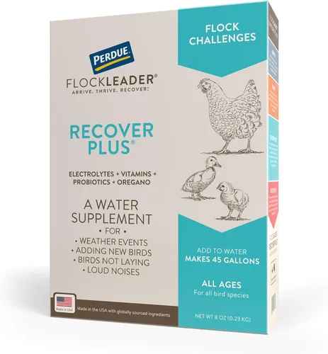 Miniatura 9 de FlockLeader Recover 911, Suplemento de Agua Probiótico para Estrés Severo para Pollos con Electrolitos, Prebióticos y Orégano, para la Muda, Clima