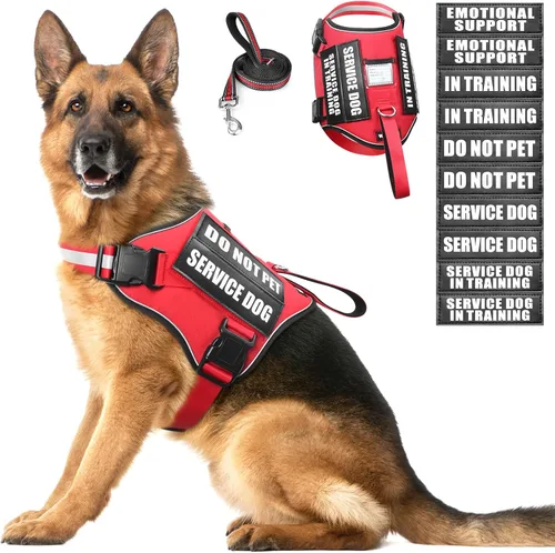 Miniatura 16 de Juego de arnés y correa para perro de servicio, chaleco de entrenamiento para perros con 10 parches para perros, arnés y chaleco para perros de Azul