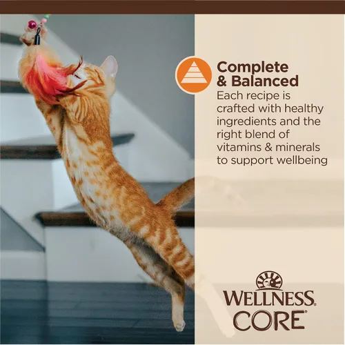 Miniatura 5 de Wellness CORE Tiny Tasters - Alimento húmedo picado para gatos adultos, natural, rico en proteínas, sin granos, receta de pollo, 1.75 onzas, paquete