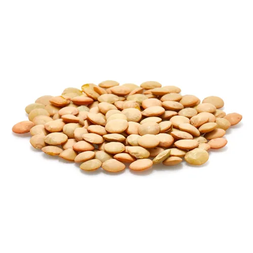 Miniatura 4 de Yupik Lentejas Verdes Orgánicas, 2.2 lb (35.2 oz), Sin OGM, Veganas, Sin Gluten, Kosher, Crudas, Fuente de Fibra, Hierro y Proteínas, Fibra