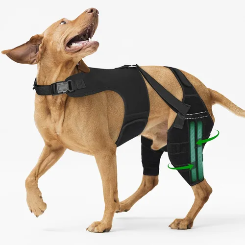 Miniatura 12 de Rodillera para perro para pierna trasera desgarrada, ajustable para pierna trasera con 5 estabilizadores, reduce el dolor, lesiones de ligamentos