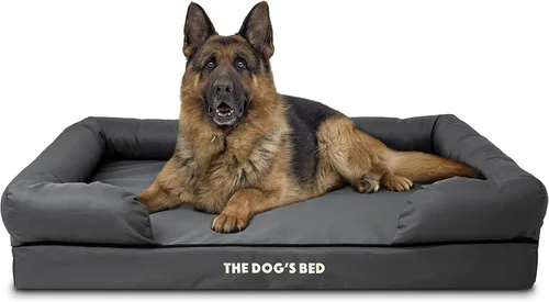 Miniatura 37 de The Dog's Bed - Cama ortopédica de espuma viscoelástica para perros medianos, colchón de soporte de alta densidad, entrada frontal baja, funda negro