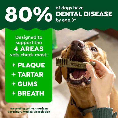 Miniatura 4 de Greenies - Golosinas naturales de cuidado dental para perros pequeños, sabor fresco, paquete de 12 onzas (20 unidades)