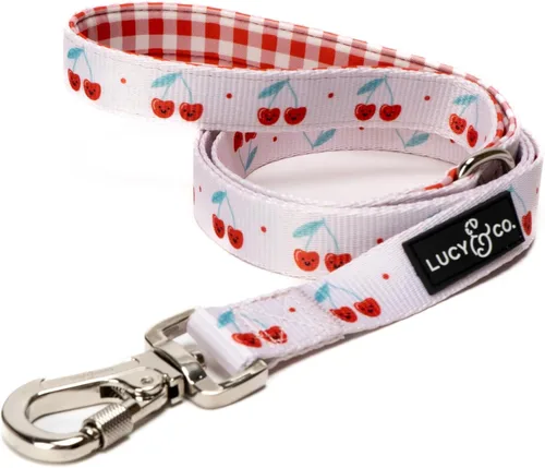 Miniatura 30 de Correa para perros de diseño Lucy & Co. - Accesorios para mascotas - Correa gruesa para perros - Asa acolchada para mayor comodidad - Entre