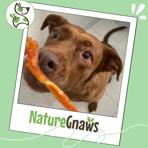 Miniatura 6 de Nature Gnaws Tendones de pavo de Estados Unidos para perros (8 onzas) – Delicioso aperitivo de recompensa sin granos para razas pequeñas, medianas