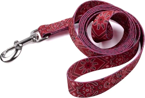 Miniatura 19 de Country Brook Design® Correa para perro Native Arizona de 1 pulgada - 6 pies Arizona nativa
