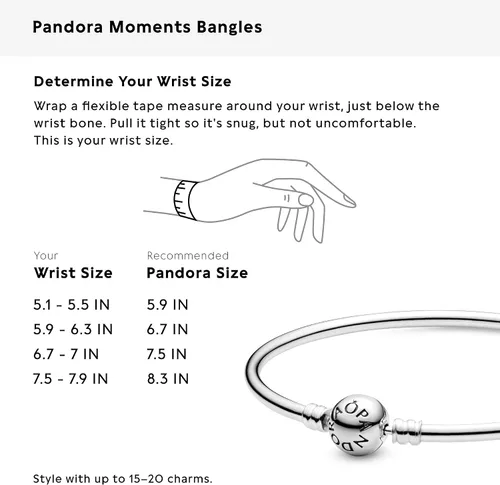 Miniatura 8 de PANDORA Pulsera de plata esterlina con dije de joyería, 6.7 pulgadas, con caja de regalo, Metal, Circonita cúbica