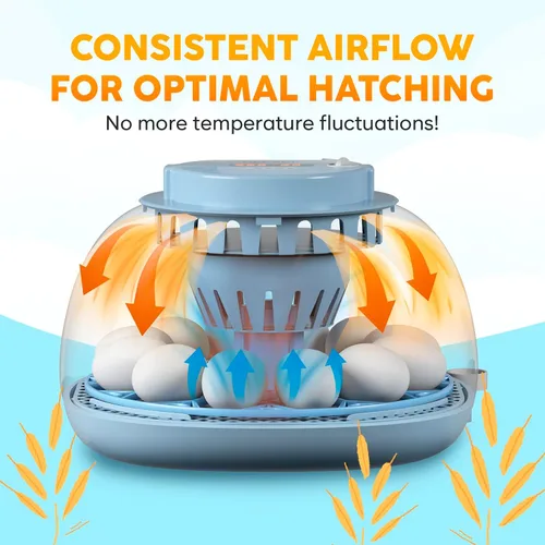Miniatura 7 de Incubadora de 12 Huevos con Giro Automático de Huevos y Control de Humedad – Incubadoras de Huevos para Incubar Huevos – Ovoscopio, Recarga