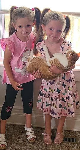 Miniatura 6 de Popshion Conjunto de ropa para niñas de 2 piezas, conjunto de ropa para niños pequeños, manga volada con dobladillo irregular, parte superior