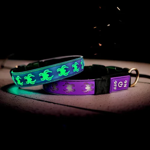 Miniatura 17 de Collar Super Dog para Perros (1, 1)
