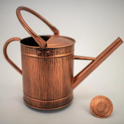 Miniatura 2 de Regadera de 1 galón, regadera de cobre, lata de agua de metal con boquilla extraíble, lata de agua perfecta para plantas en interiores y exteriores