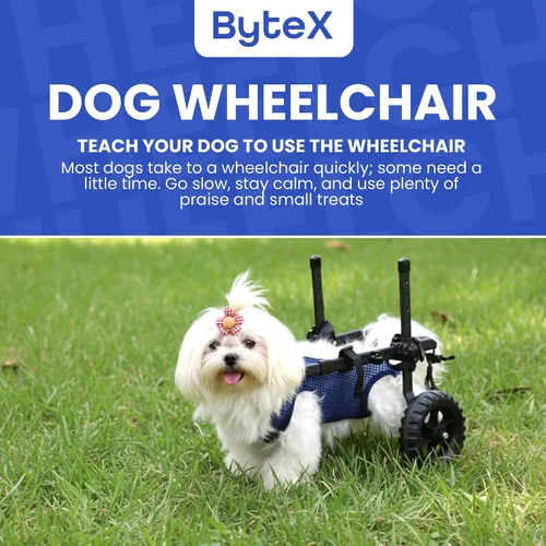 Miniatura 2 de Silla de ruedas para perros para patas traseras, carrito de silla de ruedas para perros, sillas de ruedas para perrito/gato con patas traseras
